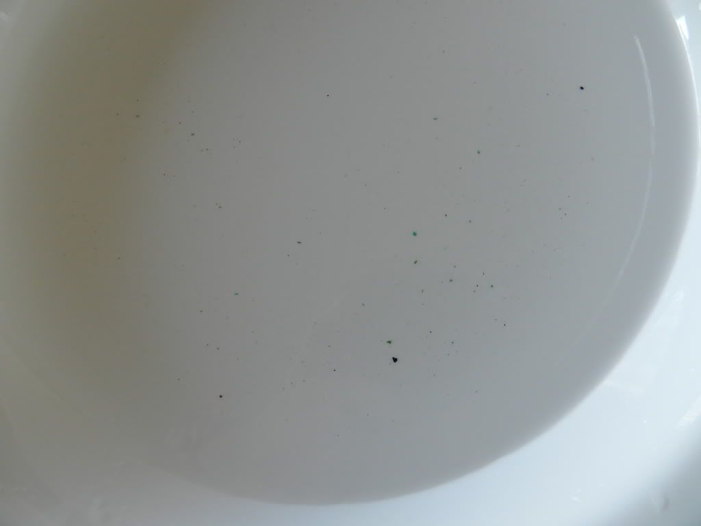 DSCN0475.jpg