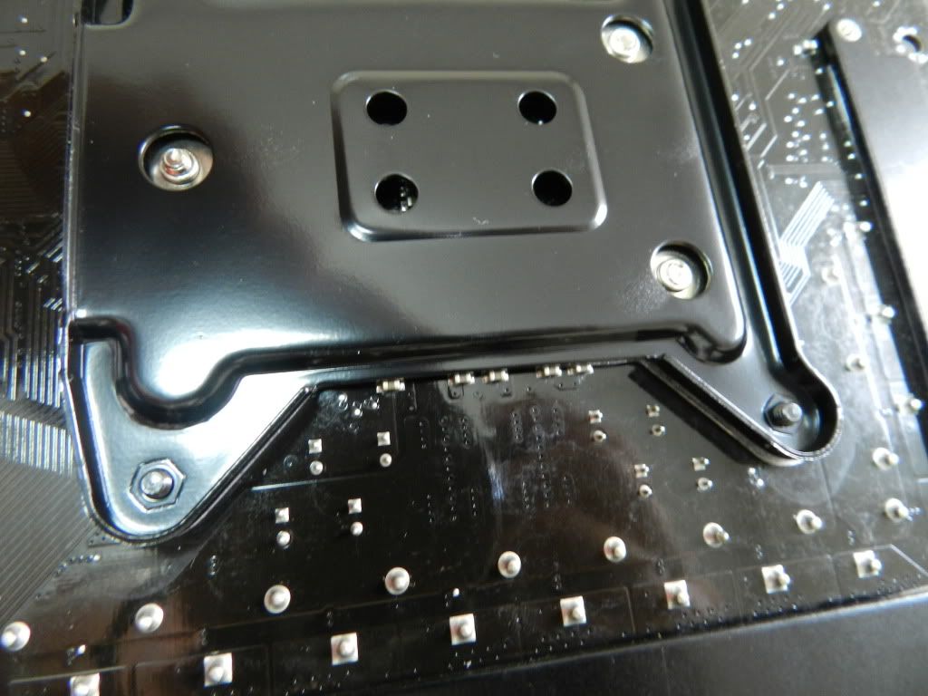 DSCN0479.jpg