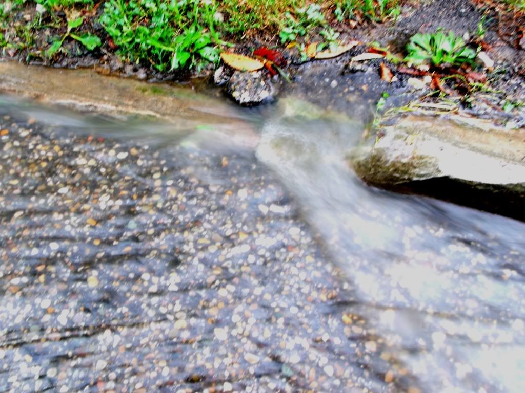 Gutter river2
