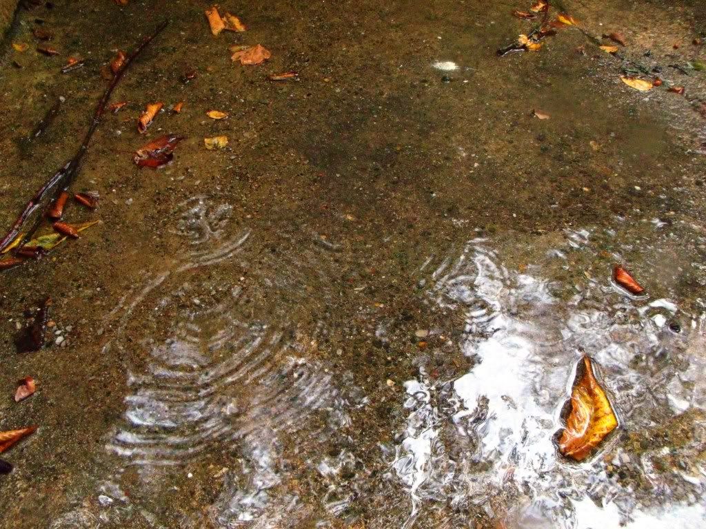 Ripples