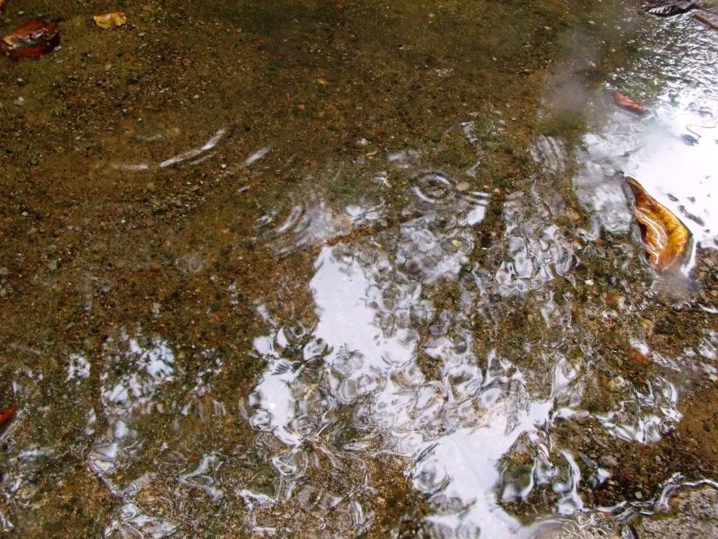 Ripples