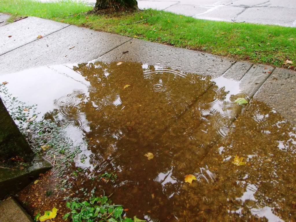 Puddle!
