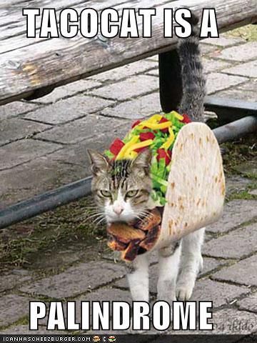 funny-pictures-taco-cat-is-a-palindrome_zps154668ad.jpg