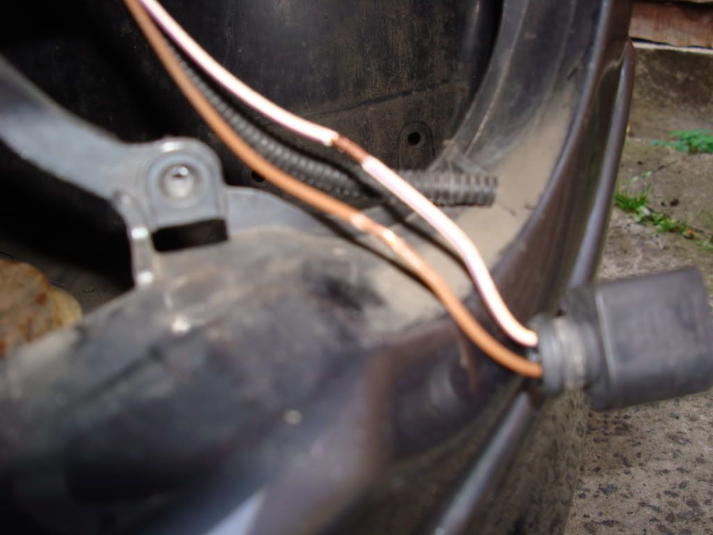DSC00747.jpg