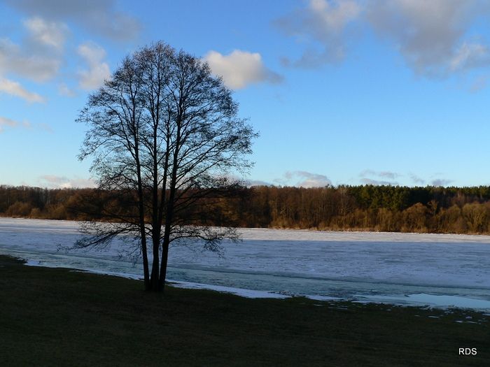 vartotojo kelta nuotrauka