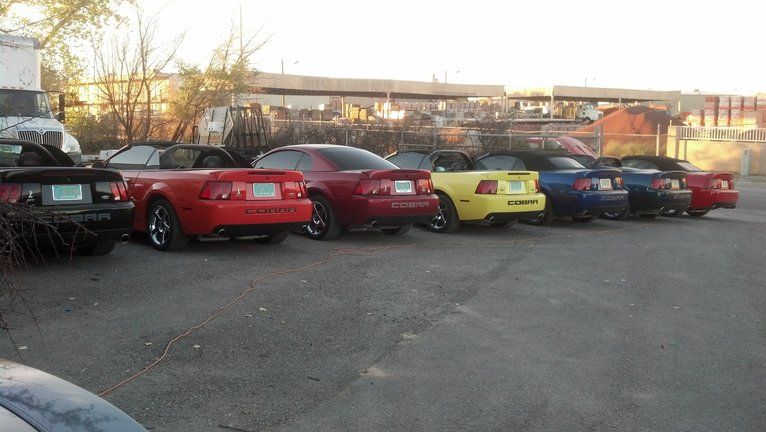 photobucket-8501-1360849224263_zpsdd44128d.jpg