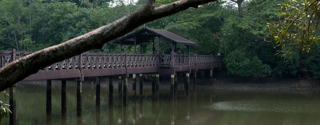bridge_zps6edbeae0.jpg