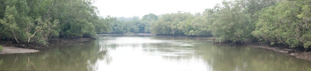 wide_zps667d3876.jpg