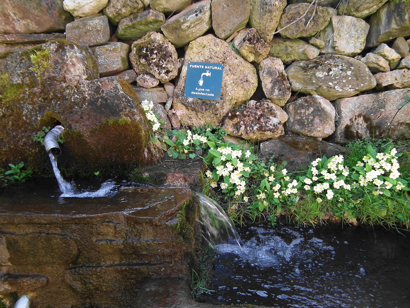 photo primavera041_zpsb9c09057.jpg