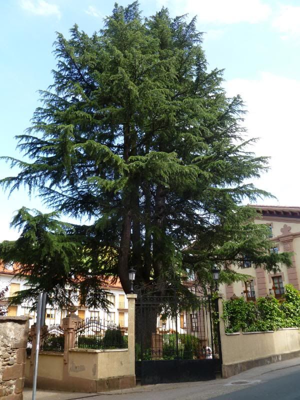 MartxaEzcaray2011154.jpg