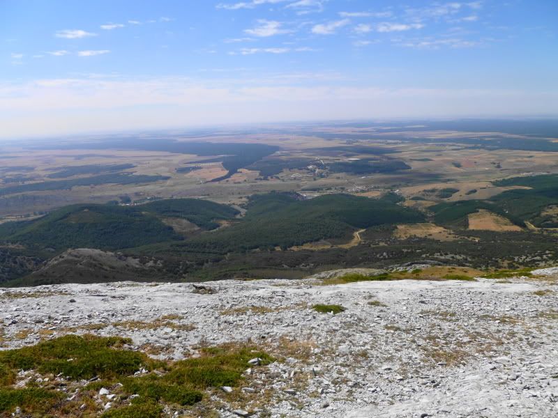 8c778422.jpg