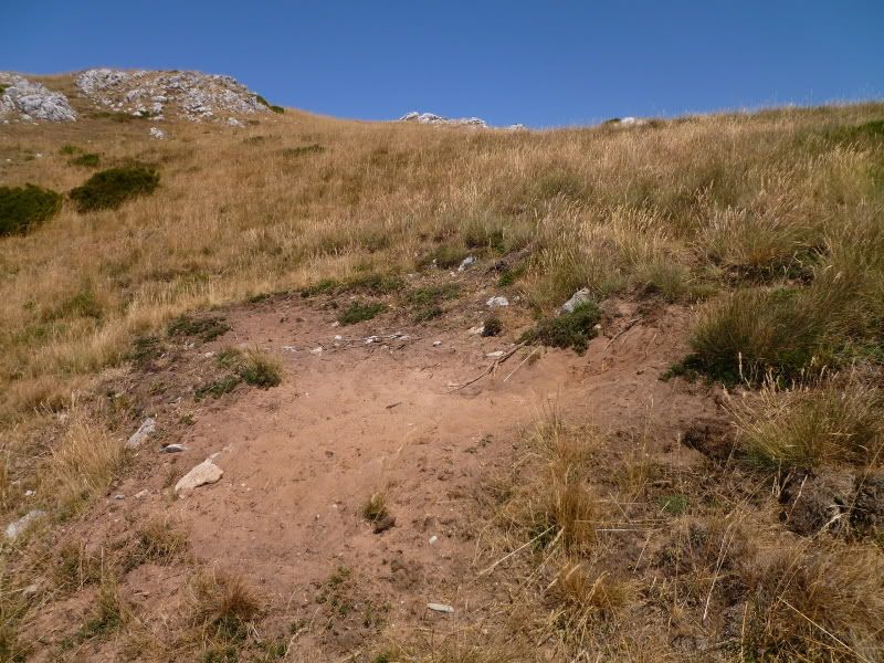 ab4d048b.jpg