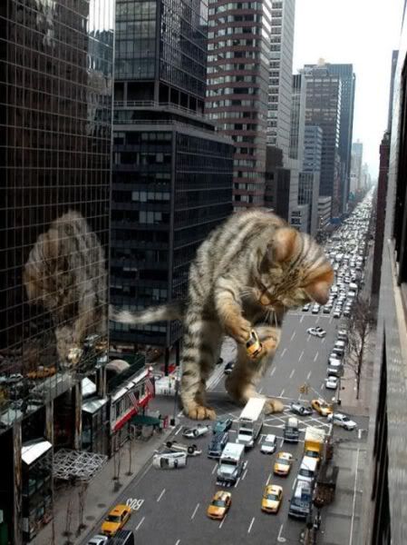Catzilla.jpg