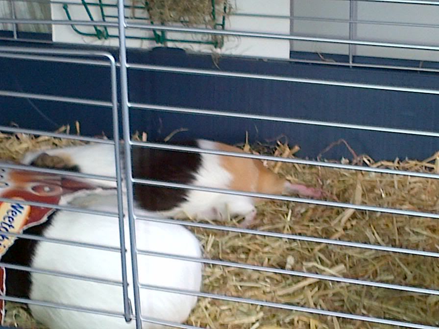 IMG-20120714-00027.jpg
