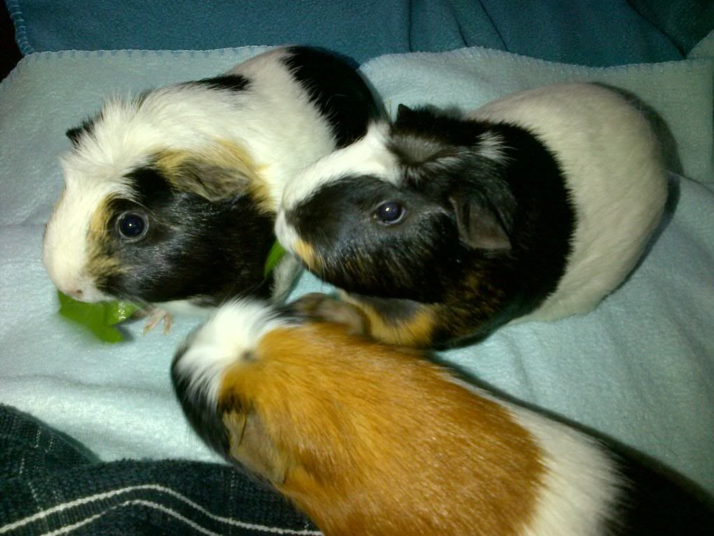 IMG-20120816-00059.jpg