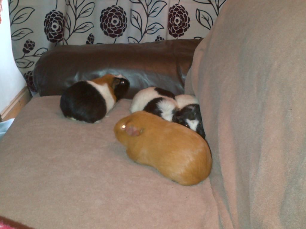 IMG-20121208-00262.jpg