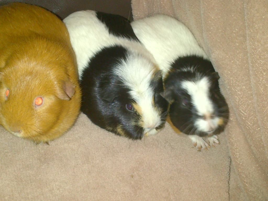 IMG-20121208-00264.jpg