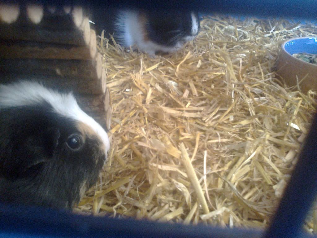 Photo0286.jpg