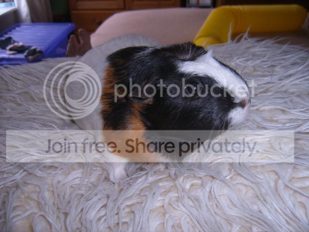 SUC55827.jpg