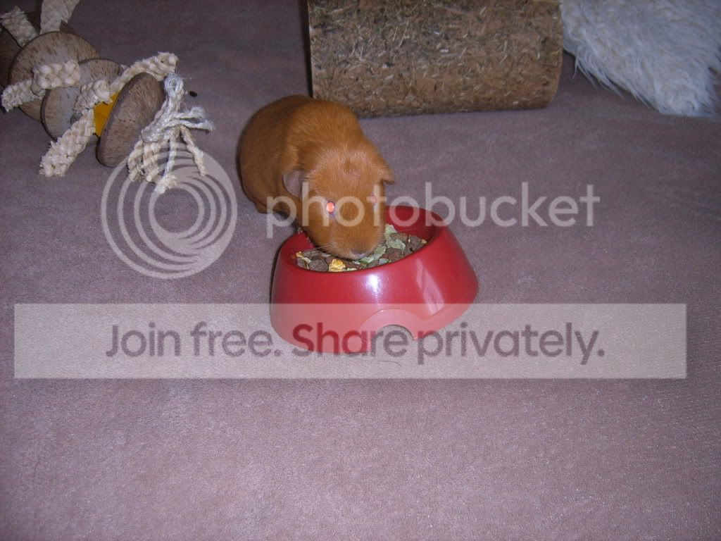 SUC55849.jpg