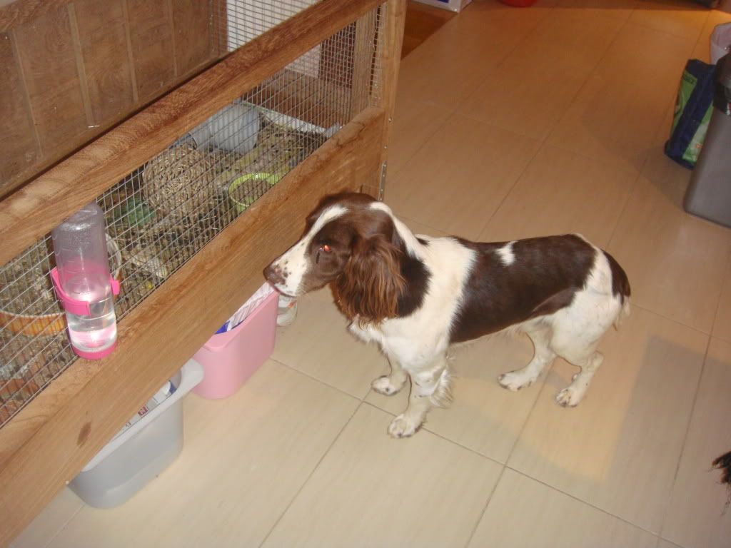 DSC01471.jpg