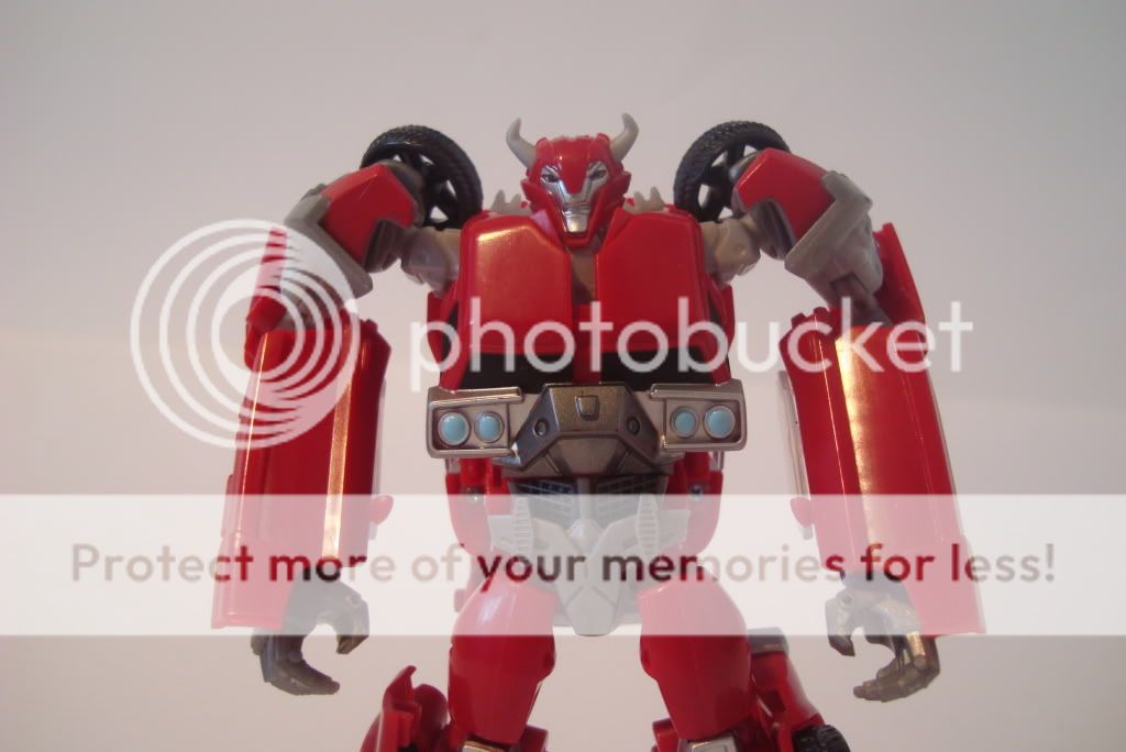 rid cliffjumper