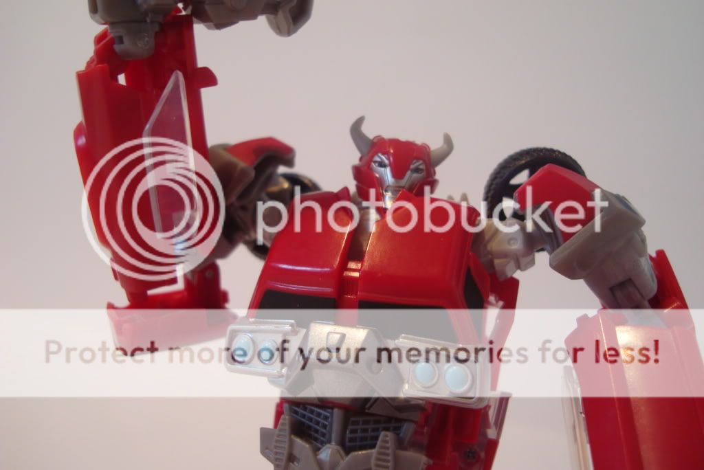 rid cliffjumper